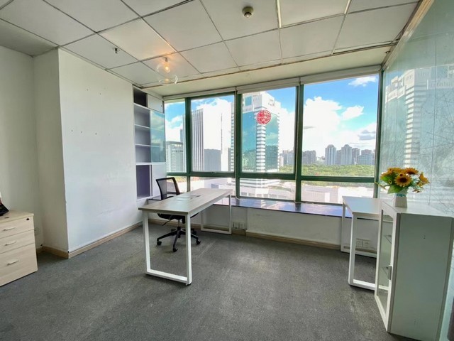 果园爬山虎专业厂家