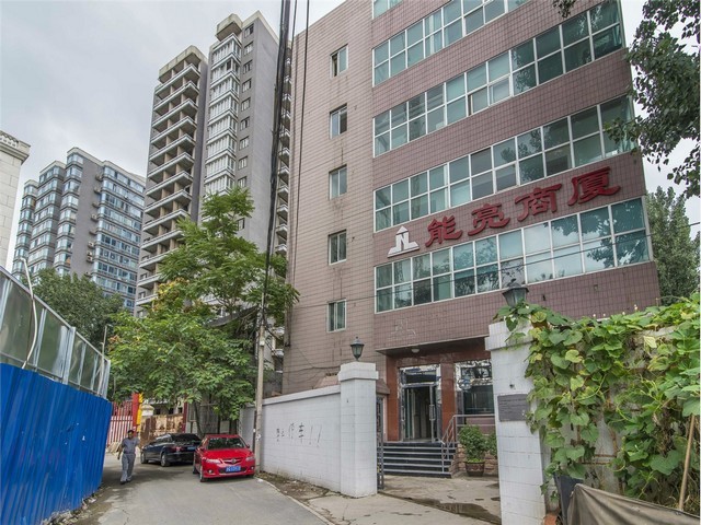 湖南动物皮皮带价格